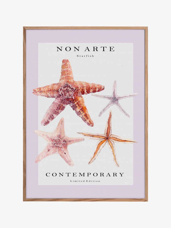 Estrela-do-mar Não Arte por atacado de Pictufy Wholesale