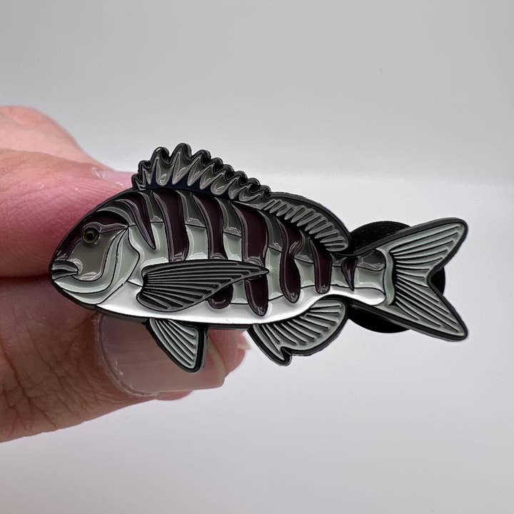 Sheepshead - Fish Pin with Gift Box for wholesale by Hooked Pins