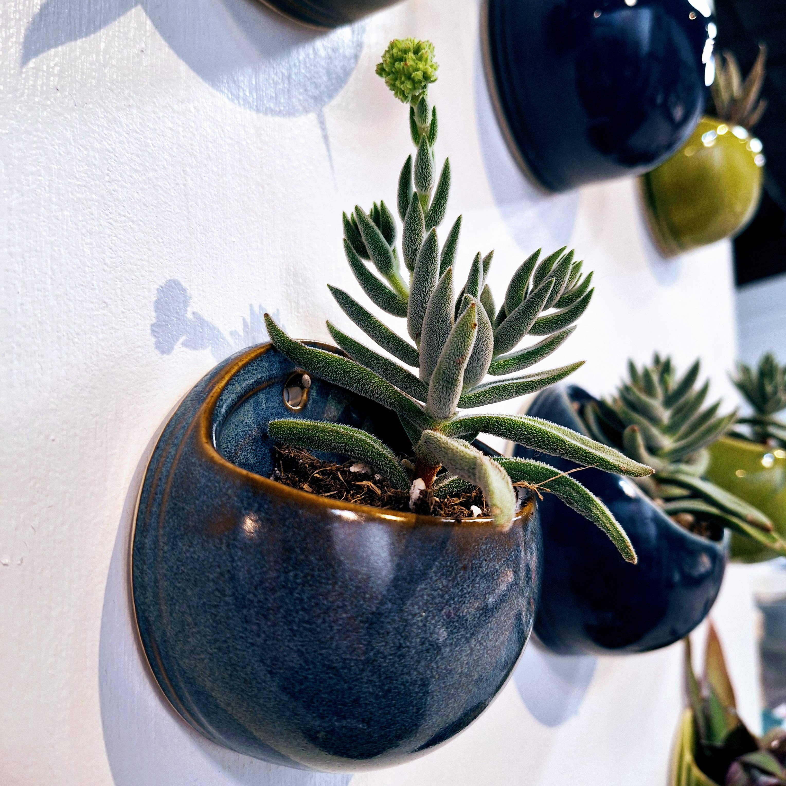 Plays in Mud Pottery - Wholesale Wall Planter - Succulent Wall Planter- Handmade Pottery- Made to Order9