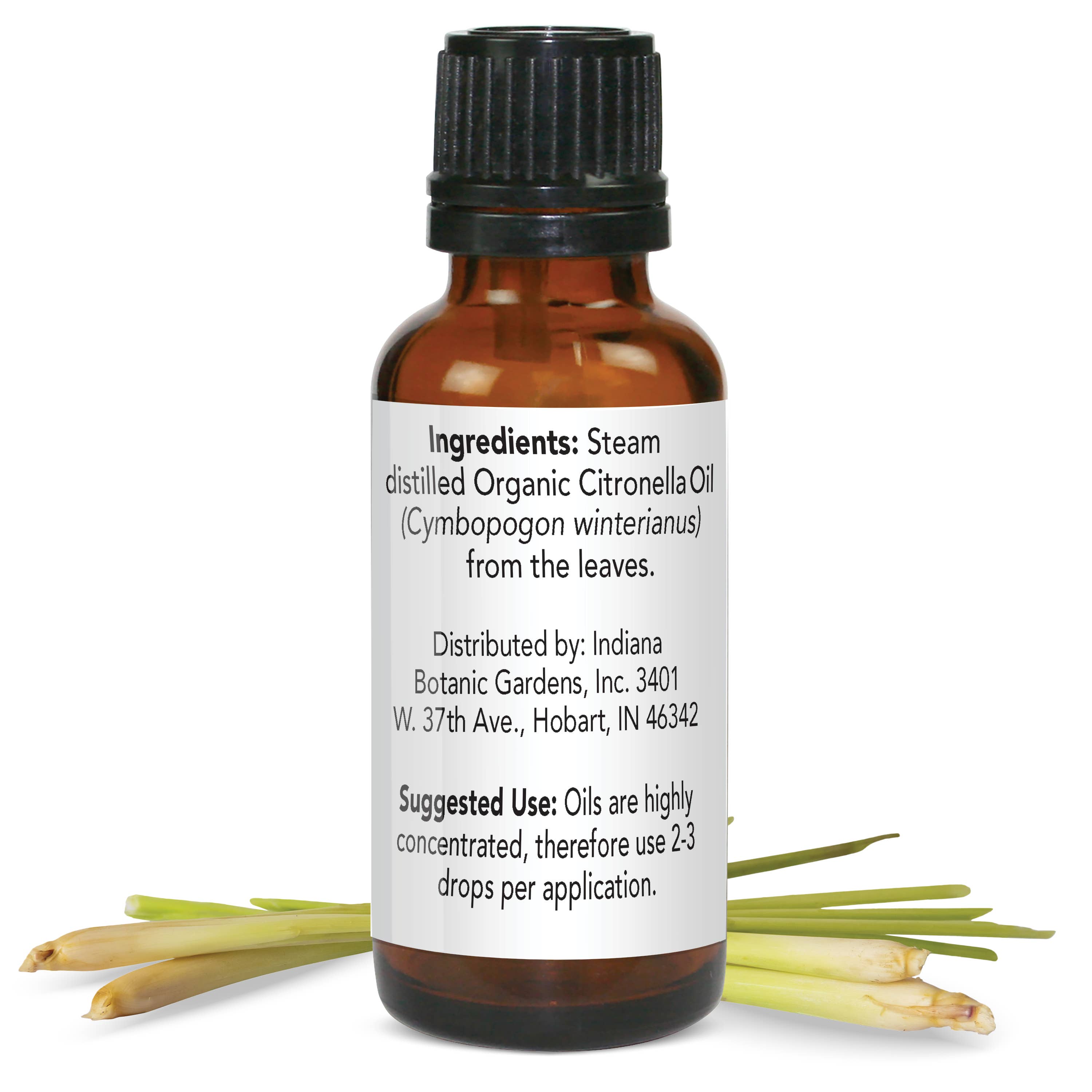 Botanic Choice - Wholesale Essential Oil - Botanic Spa Citronella Essential Oil - 1 oz1