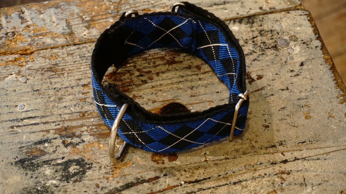 hundsfutter – wholesale Halsband - Hund – Brett hundhalsband i vattenavvisande nylon0