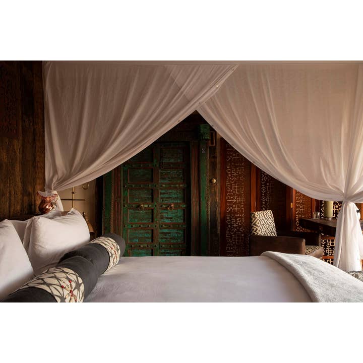 Abrams - Wholesale Arts & Entertainment - Safari Style3