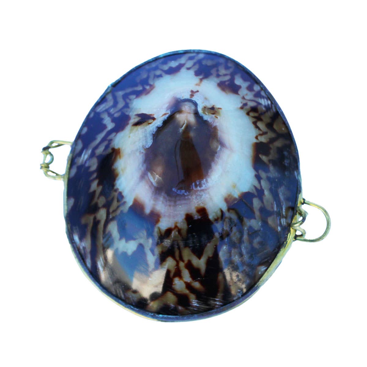 California Seashell Company - Wholesale Jewelry Dish - Limpet Seashell Coin Purse - Shell Box3