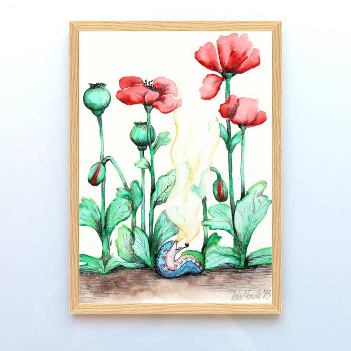 Red poppy flower for wholesale by Løfberg og Noack