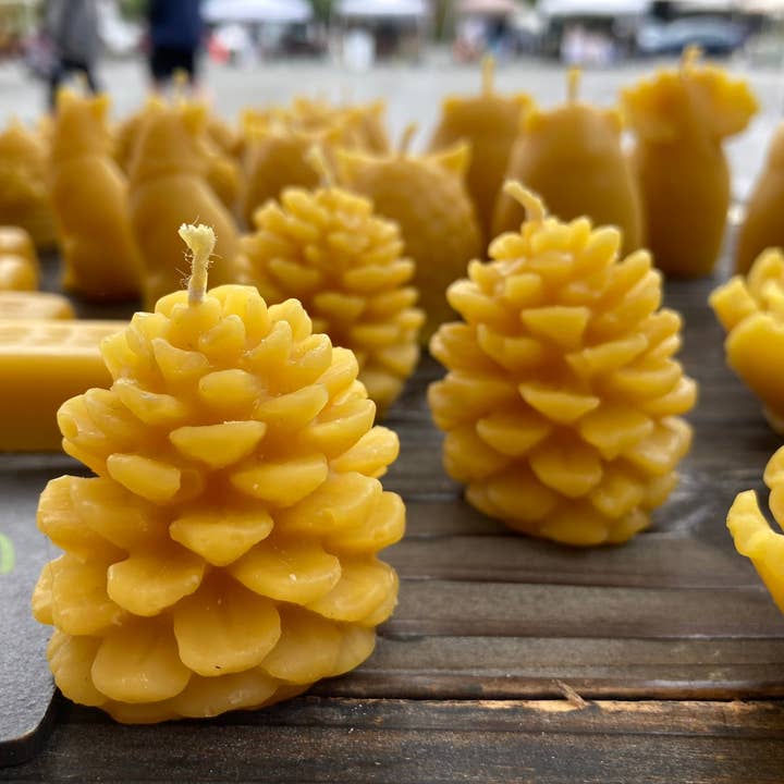 Mini Pine Cone Beeswax Candle and other Purchase Wholesale pinecone candle. Free Returns & Net 60 Terms on Faire trending on Faire.