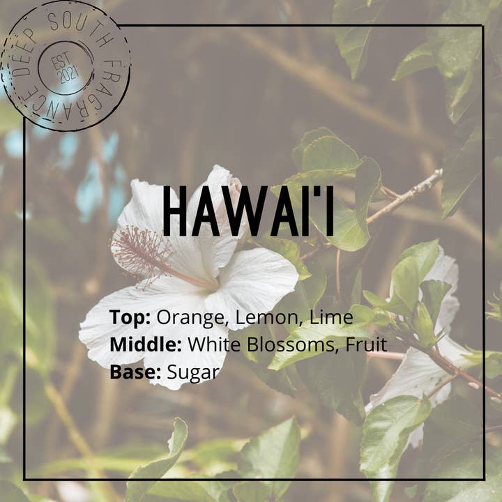 Deep South Fragrance - Vente Assortiments de parfums - Pack de parfums Summer Lovin'2