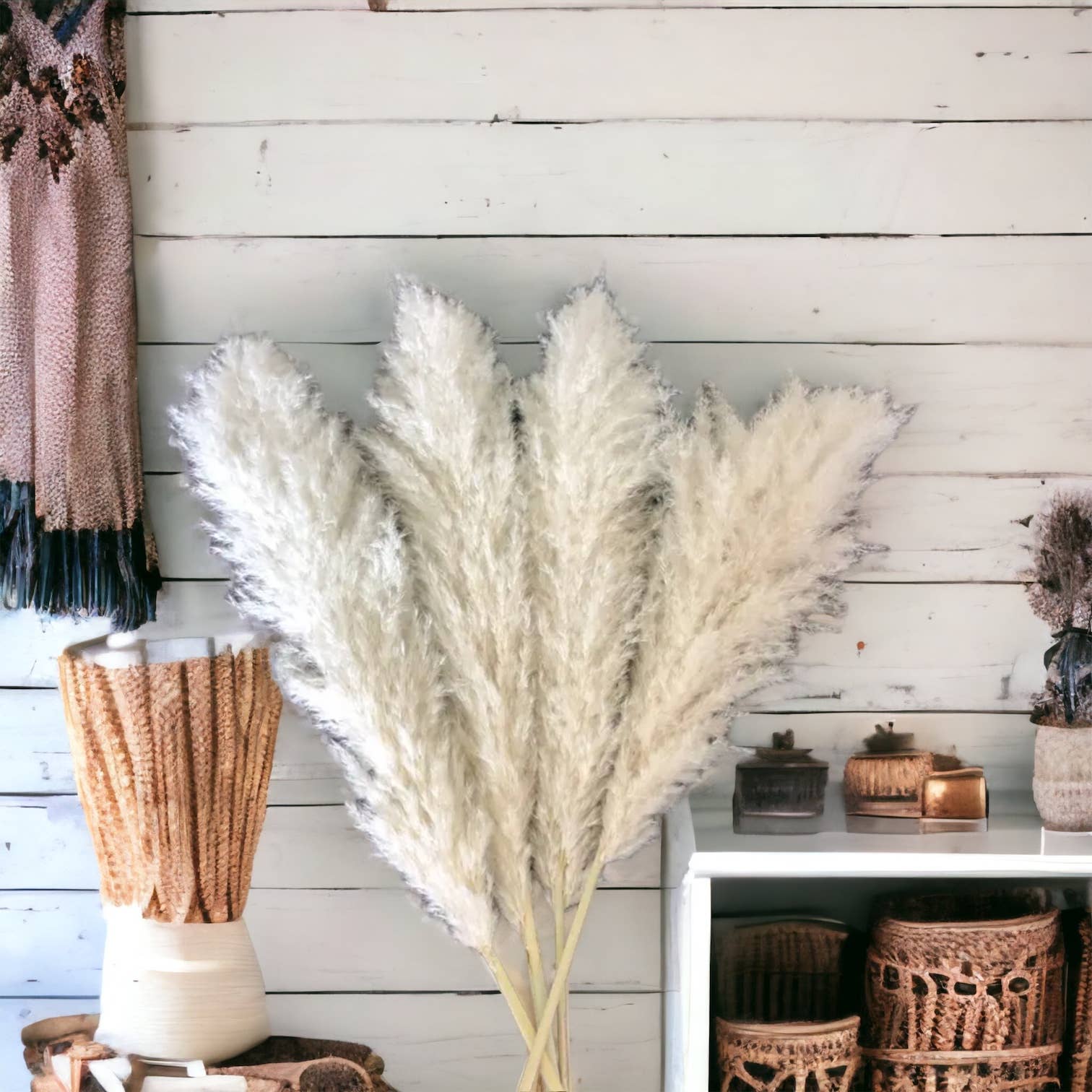 Interiors and Art - Wholesale Dried/Pressed Flowers - 4ft Cream Colored Pampas Grass2