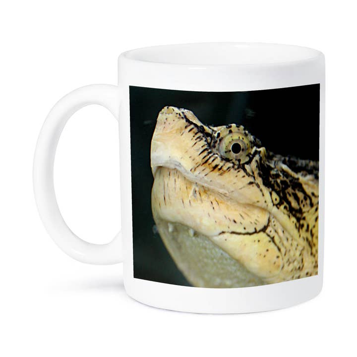 3dRose - Wholesale Coffee Mug - 3dRose, Snapping Turtle, Mug8