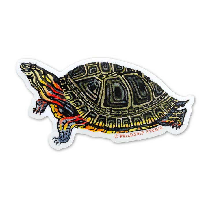 Wildship Studio - Wholesale Sticker - Painted Turtle Sticker3