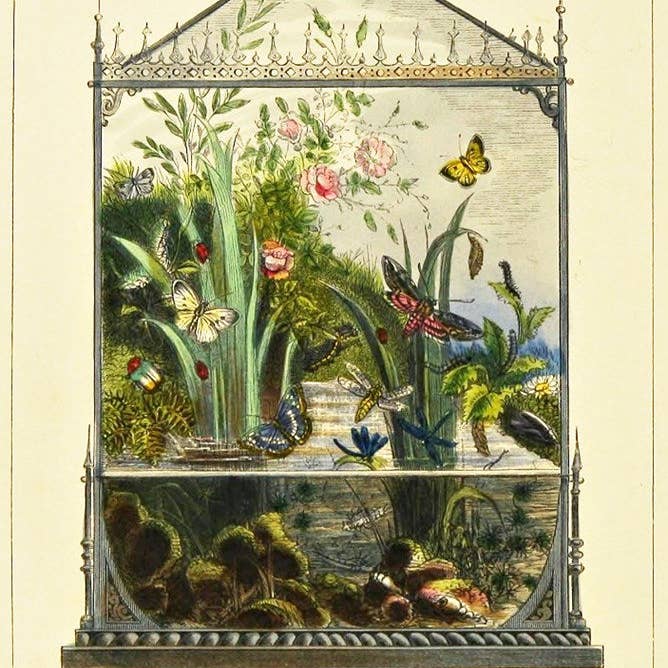 Lazybones - Wholesale Sachet - Vivarium - Lavender Scented Sachet2