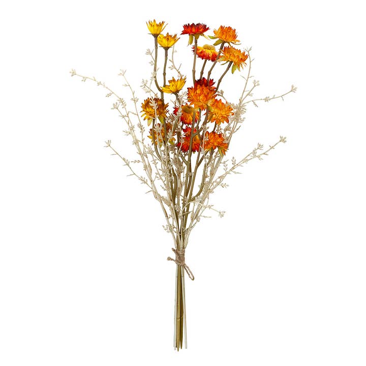 Decorative bundles/dried flowers VE 6 for wholesale by Gilde Handwerk Macrander GmbH & Co. KG