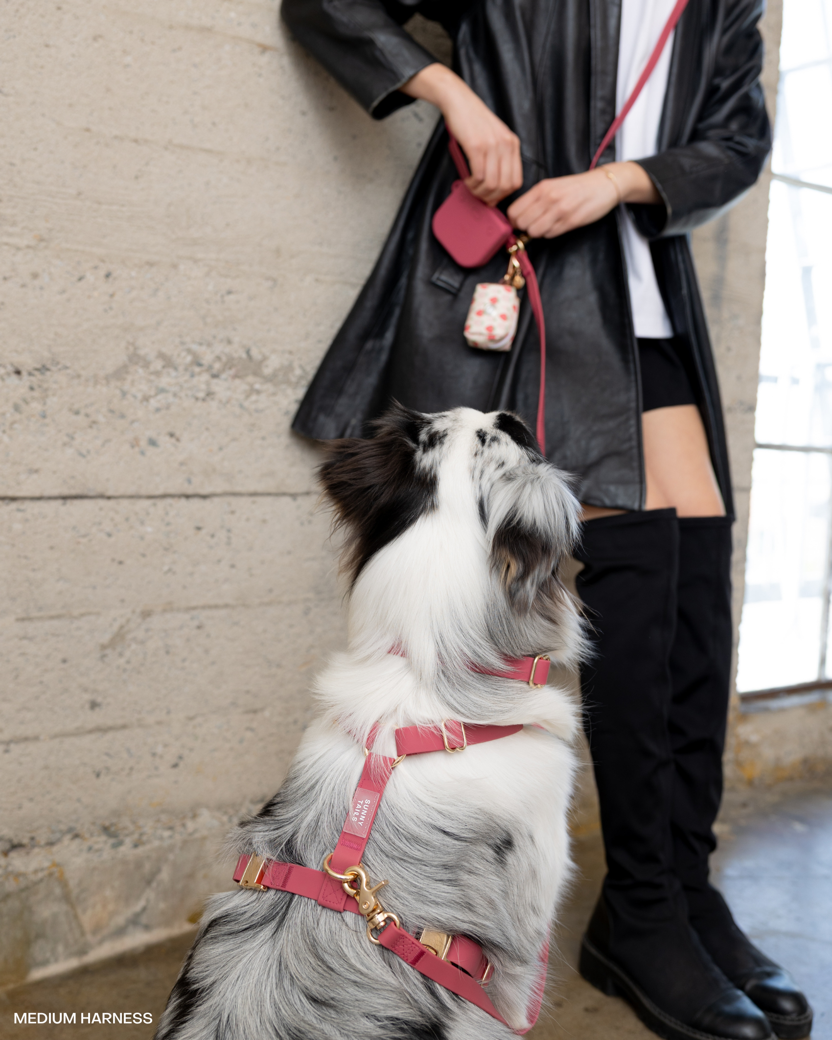 SUNNY TAILS - Wholesale Pet Leash - Dog - Burgundy 4-in-1 Convertible Hands Free Cloud Dog Leash4