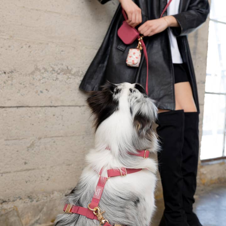 SUNNY TAILS - Vente Laisse – chien - Laisse pour chien Hands Free Cloud convertible 4-en-1 Burgundy4