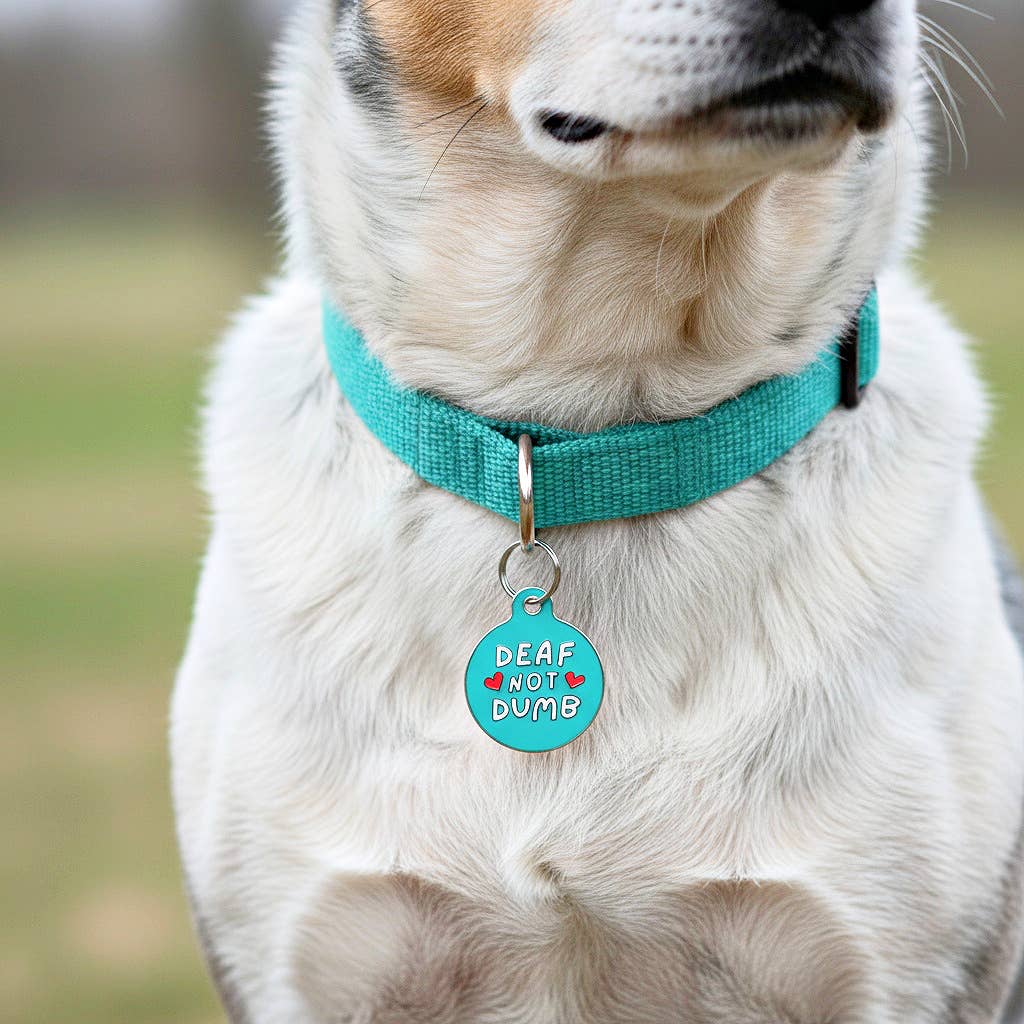 Bad Tags - Wholesale Pet Identification Tag - Dog - Dog ID Tag with Personalized QR Code - Deaf not Dumb7
