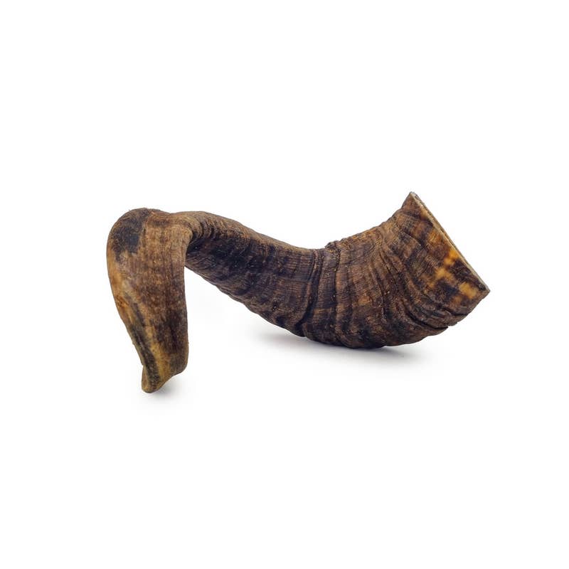 Inaris Petfood - Wholesale Pet Treats - Dog - Sheep Horn | Dog Treats