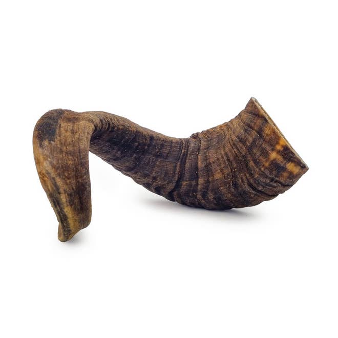 Corne de Mouton | Friandises pour chien pour la vente par Inaris Petfood