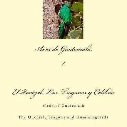Books by splitShops - Wholesale Nature & Outdoors - Aves de Guatemala: Birds of Guatemala - Paperback
