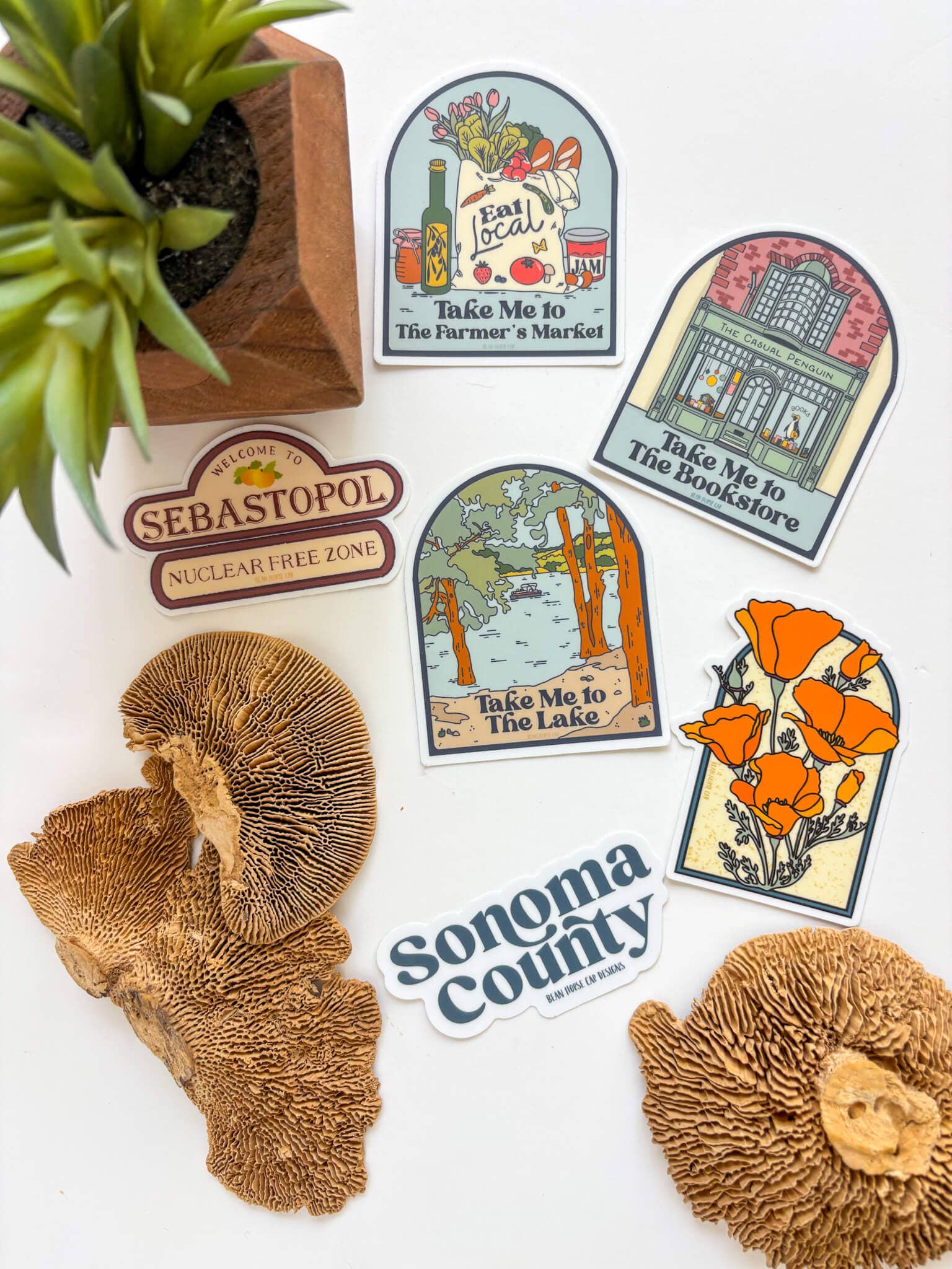 Bean Horse Car Designs - Wholesale Sticker - California Poppies Arch Sticker4