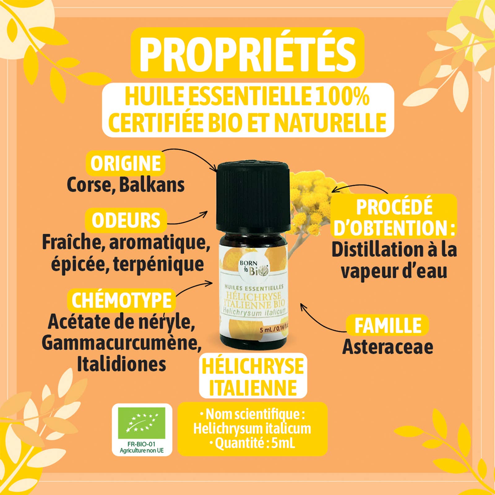 Les Laboratoires Bio Seasons - Wholesale Etherische olie - Biologische Italiaanse Helichrysum essentiële olie 5 ml3