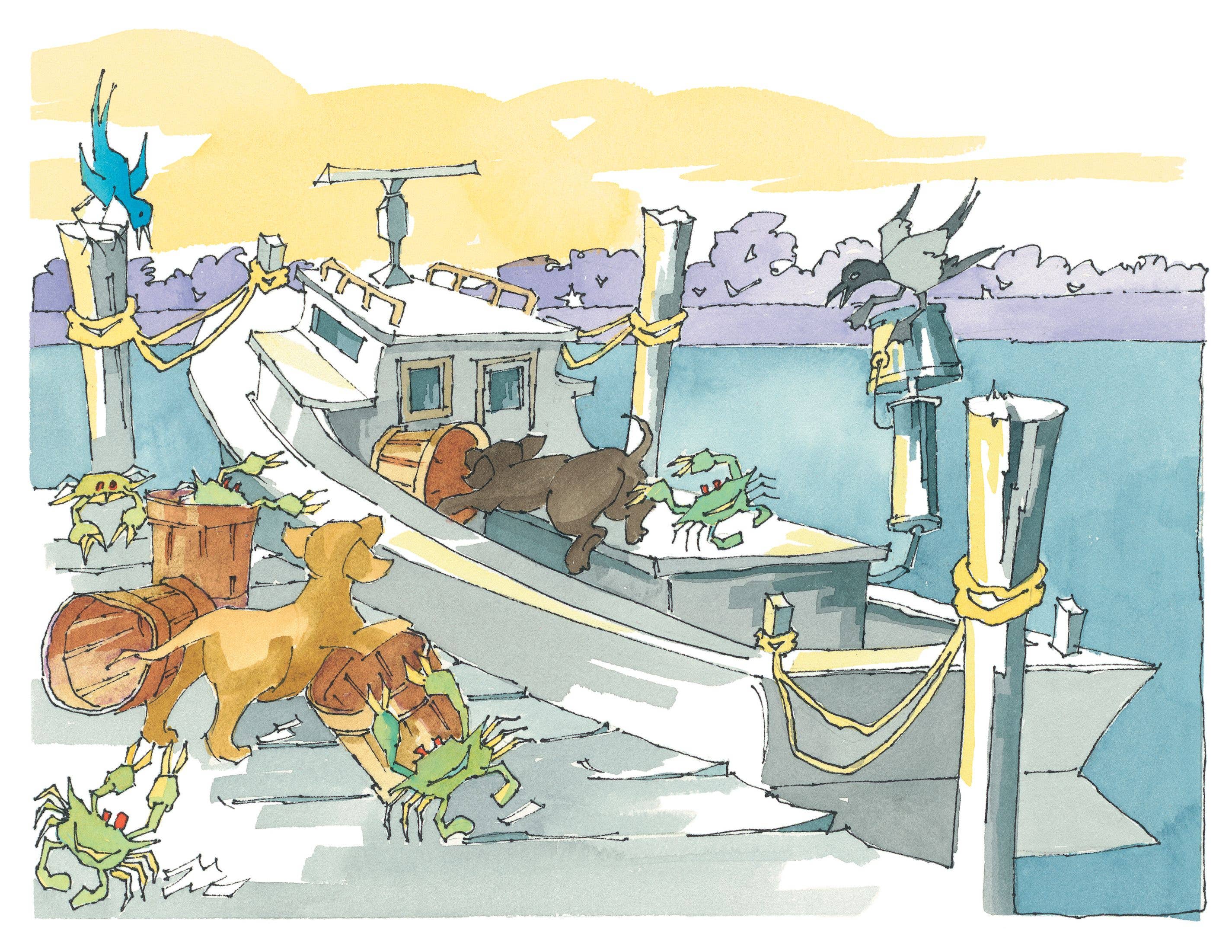 Schiffer Publishing - Wholesale Boek voor kleuters (3-5) - Chesapeake speeldag2