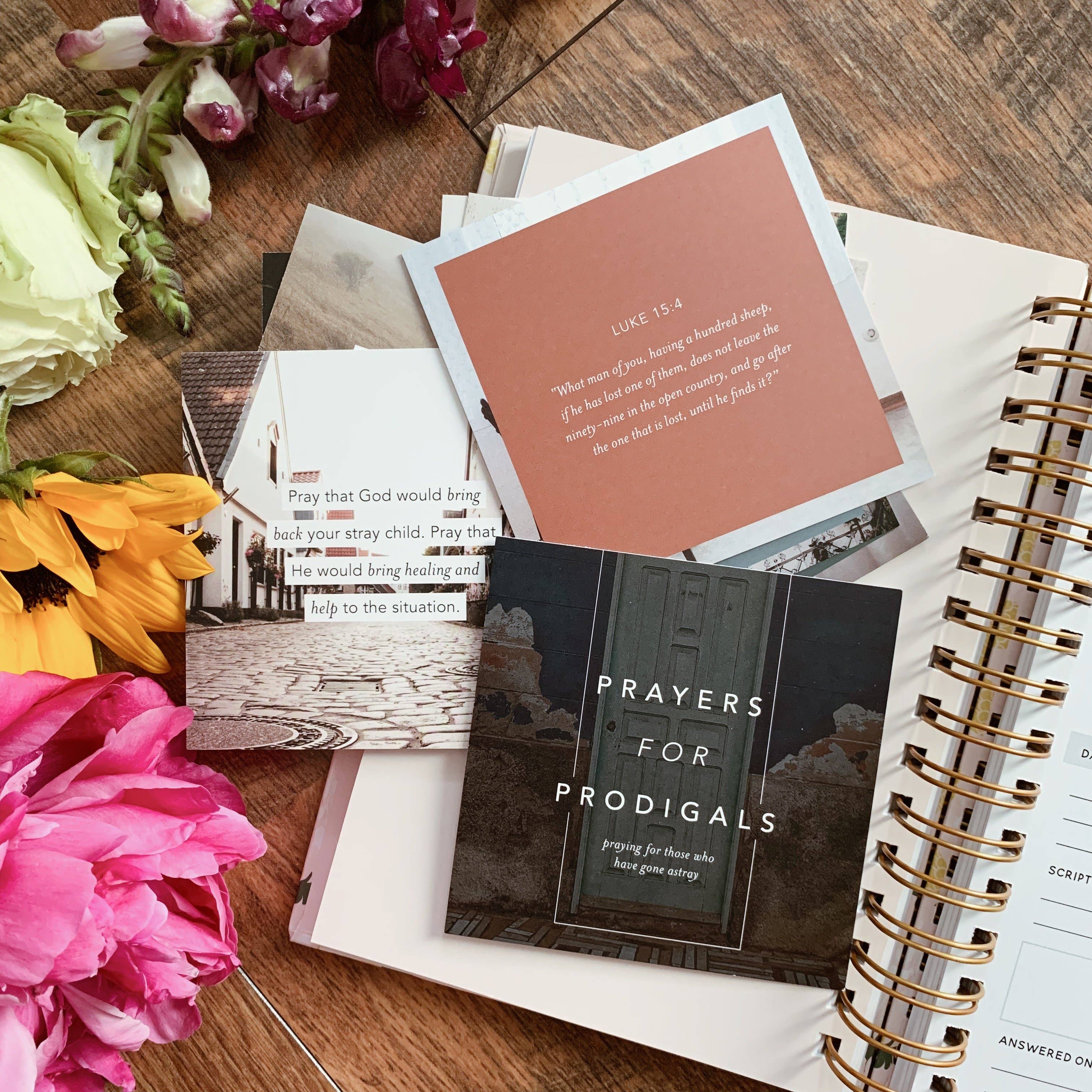 The Daily Grace Co - Wholesale Religious Card - Prayers for Prodigals Verse Card Set1