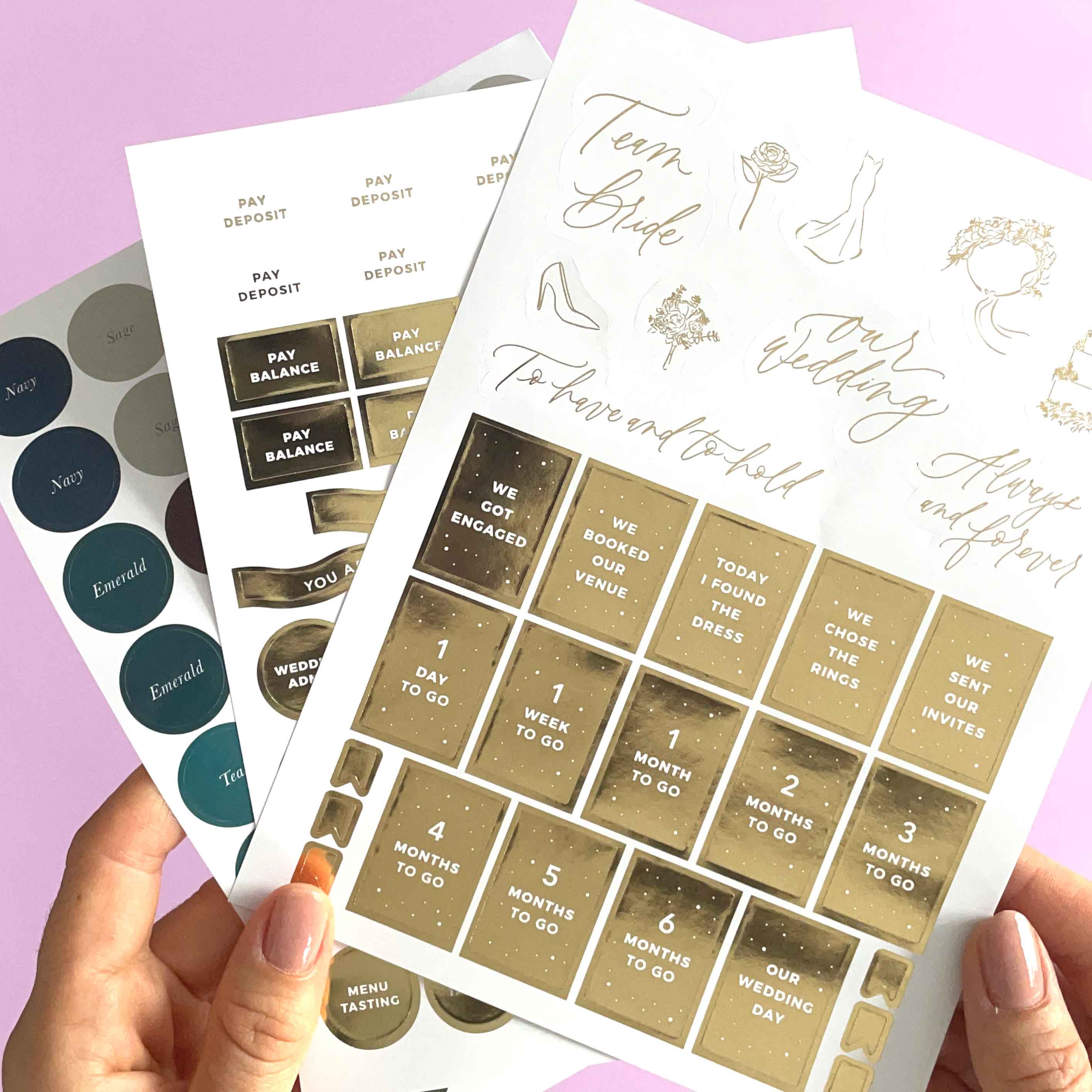 Blush And Gold – wholesale Sticker – Wedding Sticker Pack (3 sheets)5