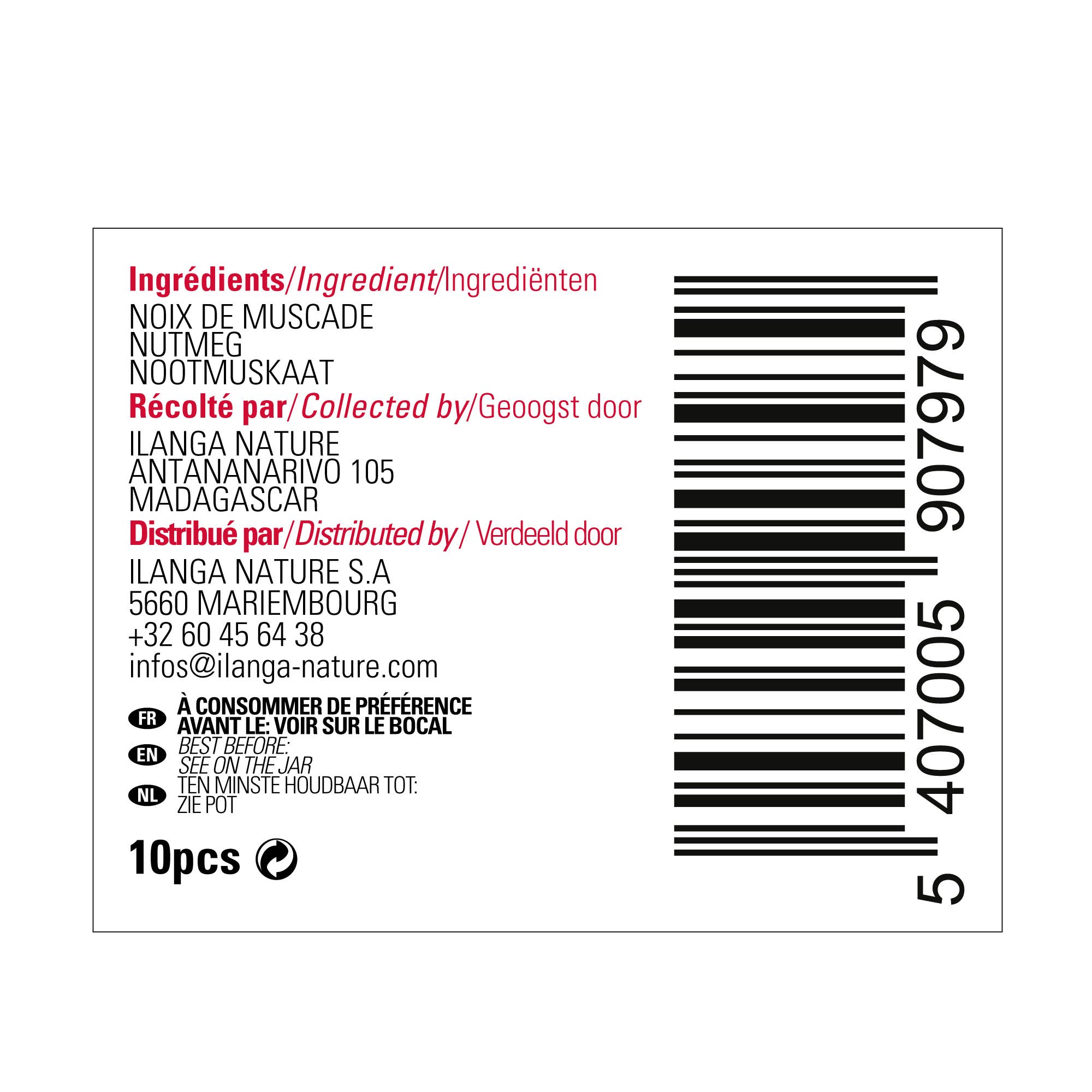 Ilanga Nature – wholesale Nuts – Nutmeg 10pcs2