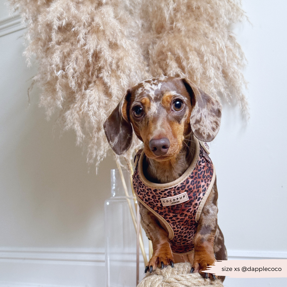 Cocopup London - Wholesale Pet Harness - Dog - Quilted Leopard Pup Adjustable Neck Harness44