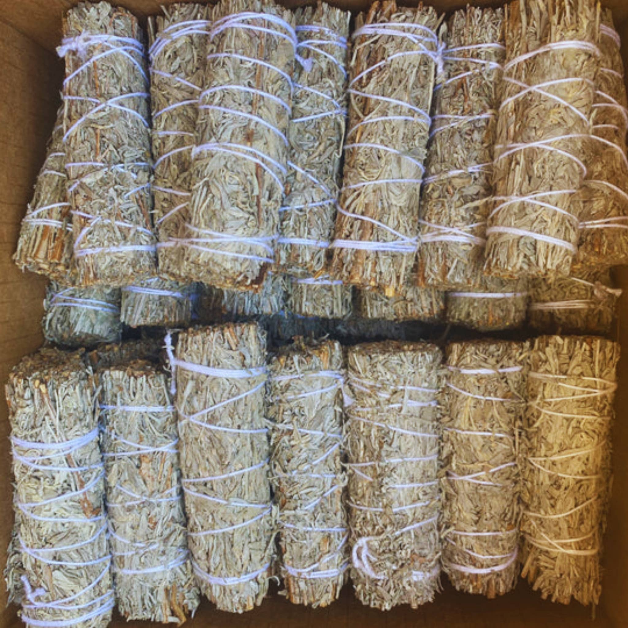 Third Eye Sage - Vendita all'ingrosso Salvia - Pacchetto di bastoncini smudge Blue Sage da 4"4