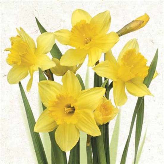 Daffodils Lunch Napkins - Floral Paper Napkins for wholesale by European Excellency