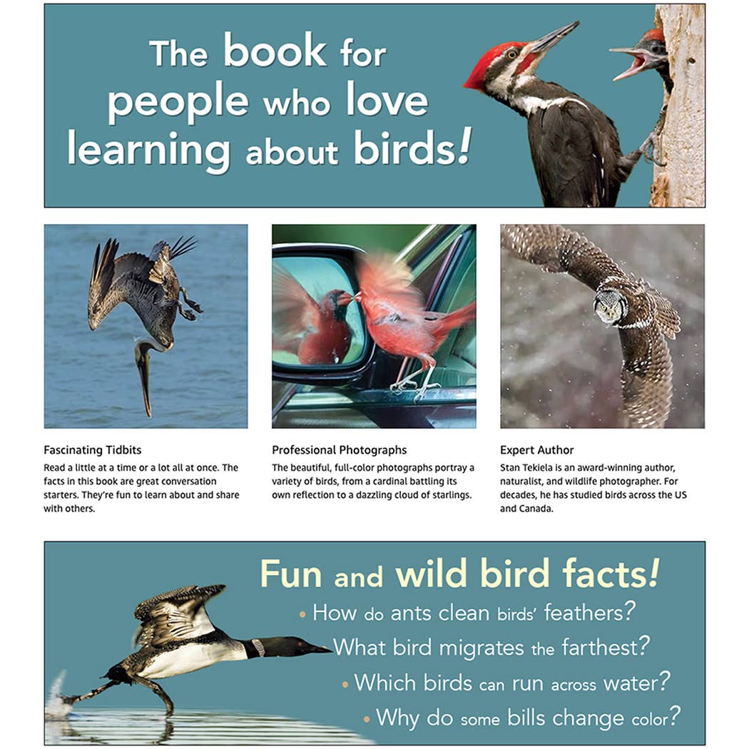 AdventureKEEN - Wholesale Nature & Outdoors Book - Bird Trivia4