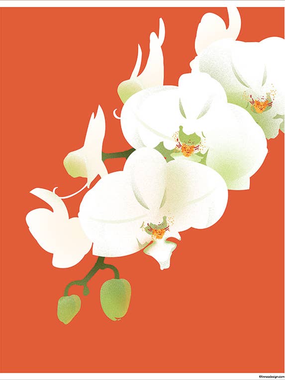 Impression d'art d'orchidée pour la vente par Linnea Design