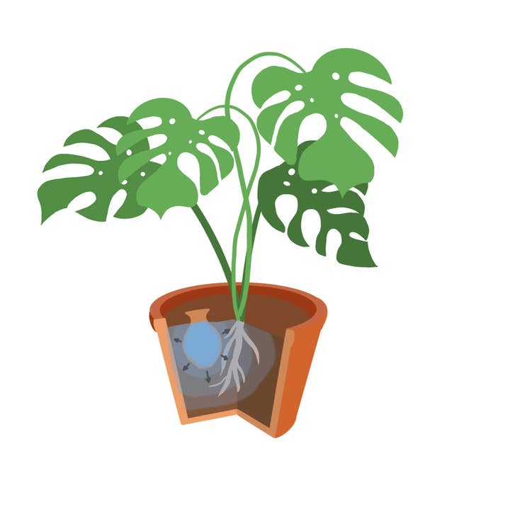 3 Oyas to bury size S Yellow for wholesale by Alppos