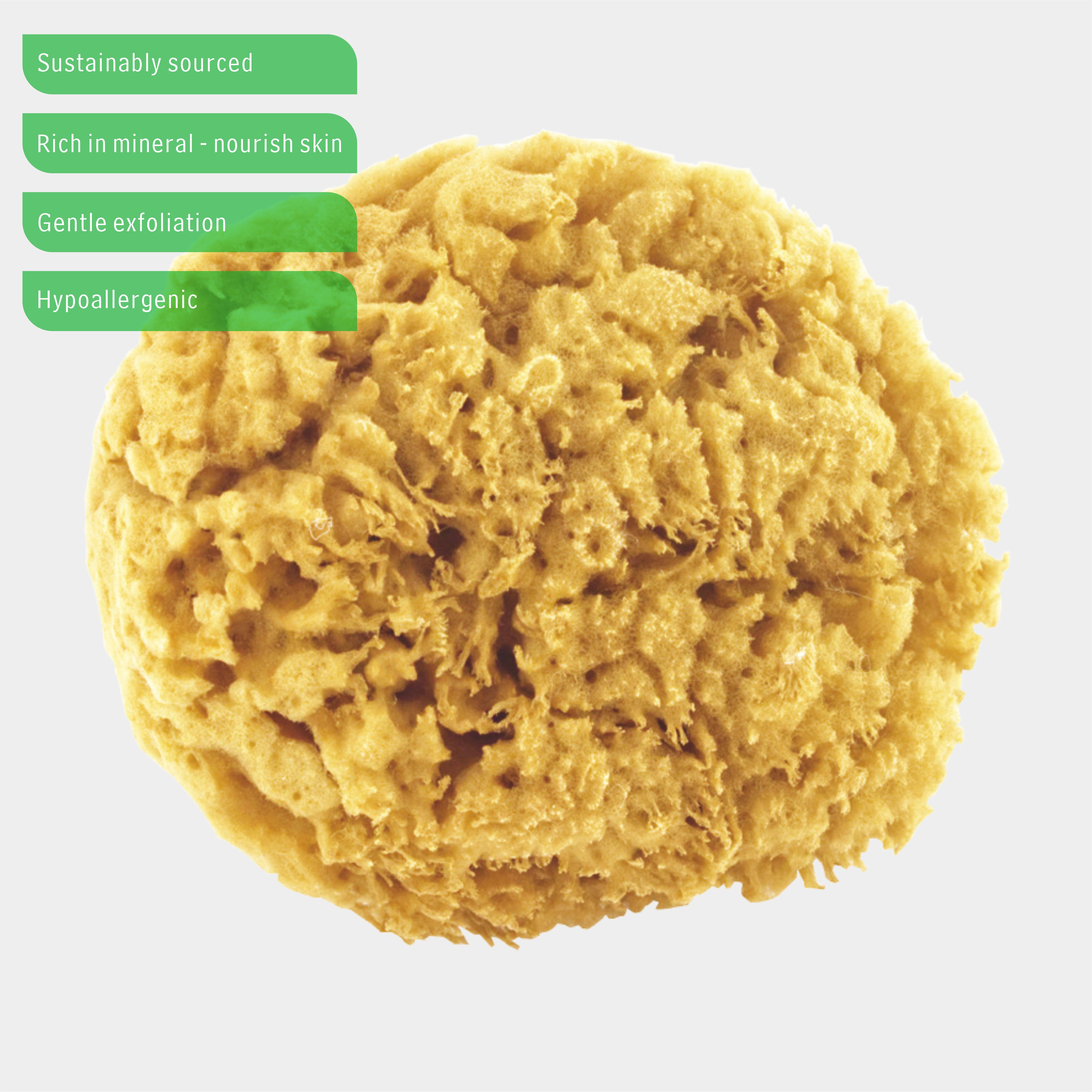 Max-Link Solutions Ltd – wholesale Bath pouf/sponge – Olnatur Honeycomb Natural Sea Sponge, Natural Bath Sponge1