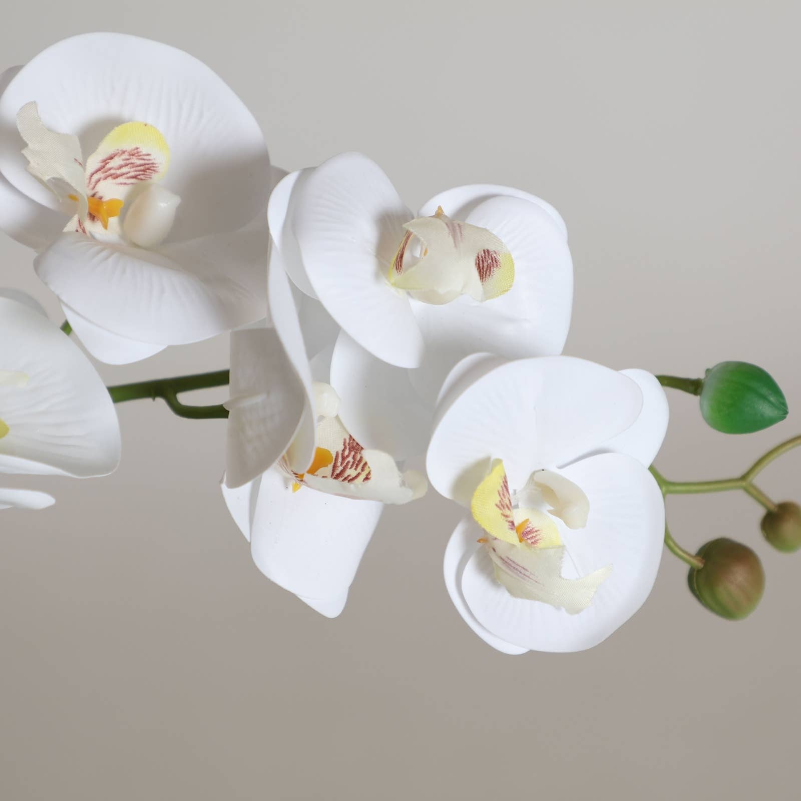 B&B – Großhandel Kunstpflanzen – Orchideenpflanze, aus Kunststoff, in Weiß, 30x13x45cm1