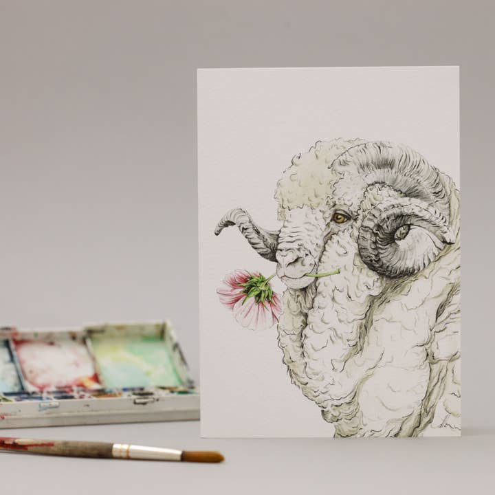 Merino for engroshandel hos DMC Illustrations