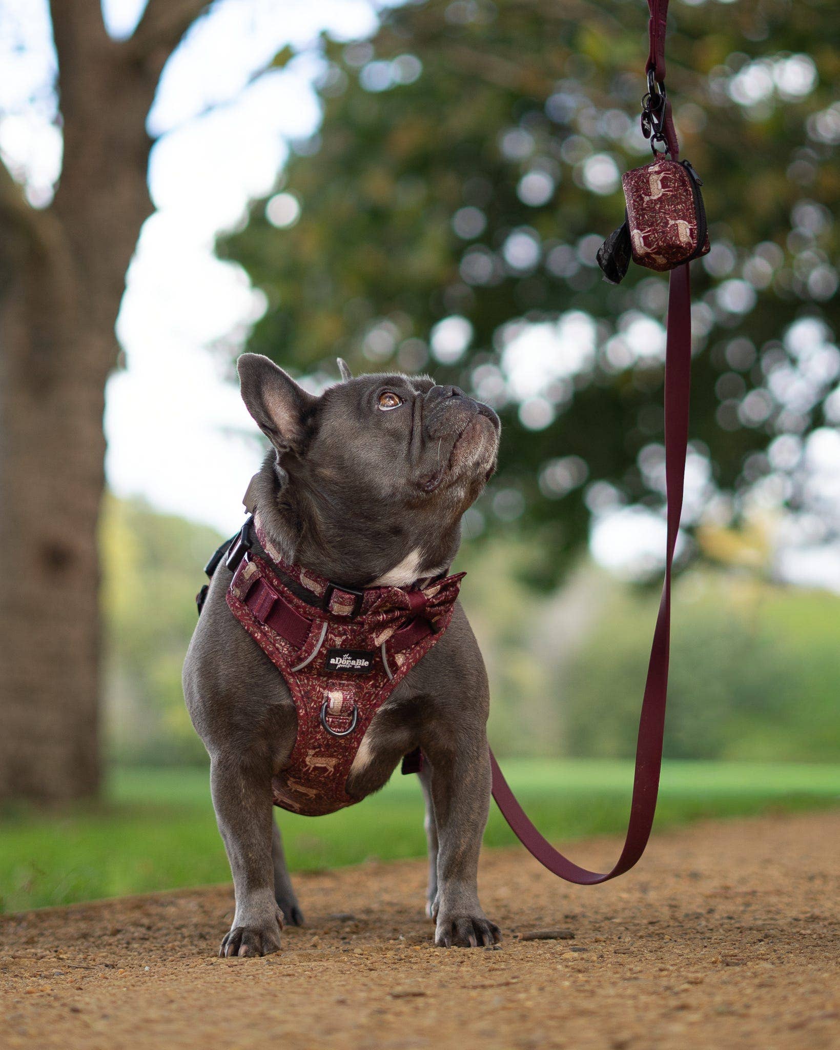 The aDoraBle Pooch Company – wholesale Bajspåseautomat – Hundbajspåsehållare - Vinterkid2