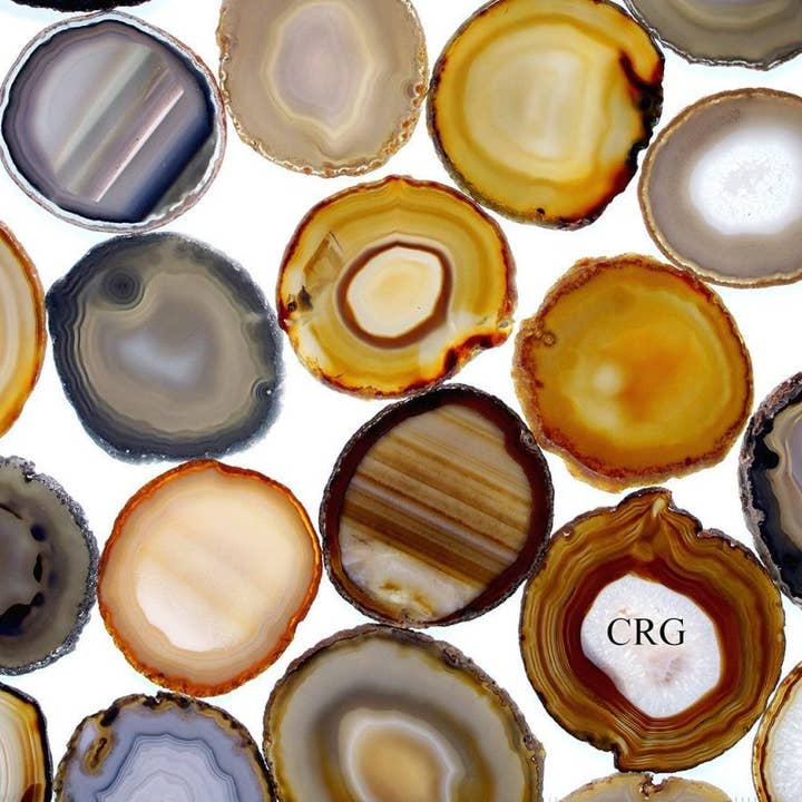 Natural Agate Slice (Size #4) (4 to 4.5 inches) Grade A Brazilian Agate Geode Slice Wholesale Crystals for wholesale by Crystal River Gems LLC