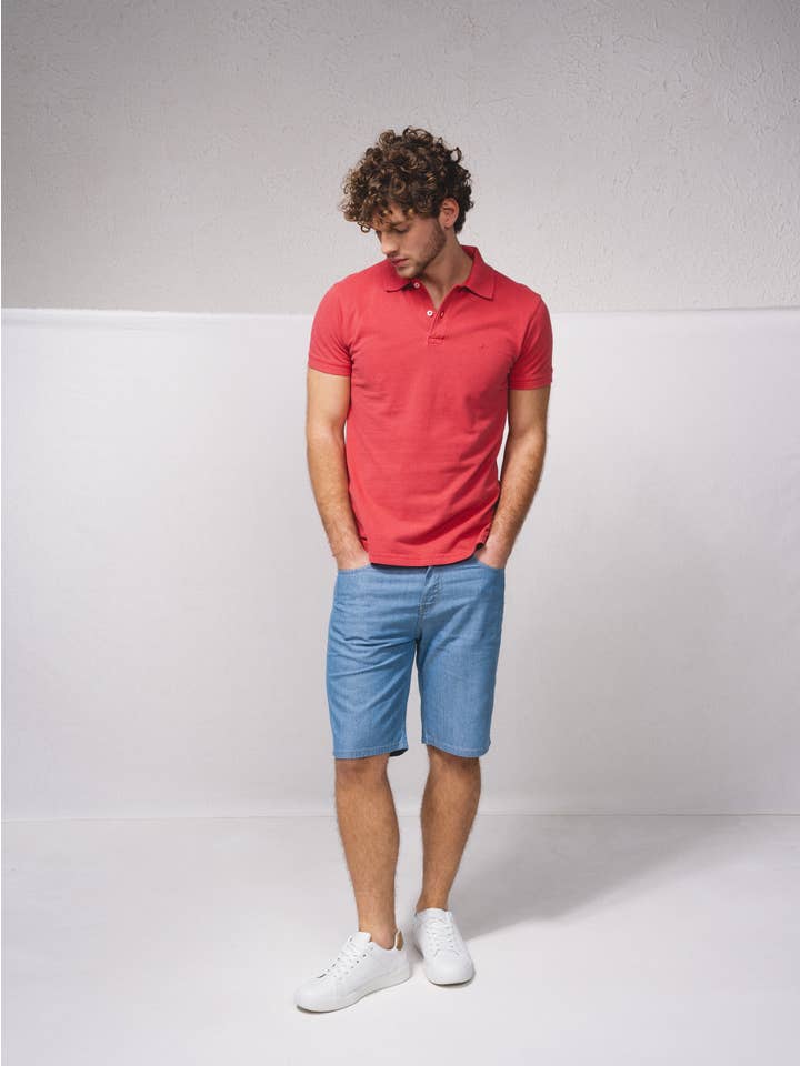SMF - Wholesale Polo - Men's - 238554 - Embroided pike polo with pigmitation10