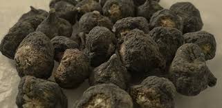 Cibobenessere - Venta al por mayor Proteínas y superalimentos en polvo - Maca Negra Bio - Polvo de Maca Negra Orgánica 100% Natural4