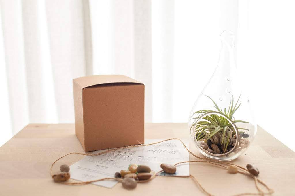 The Simply Crafty Shop - Wholesale Terrarium - Pear Shape Terrarium Kit- Semi-Precious Stone21