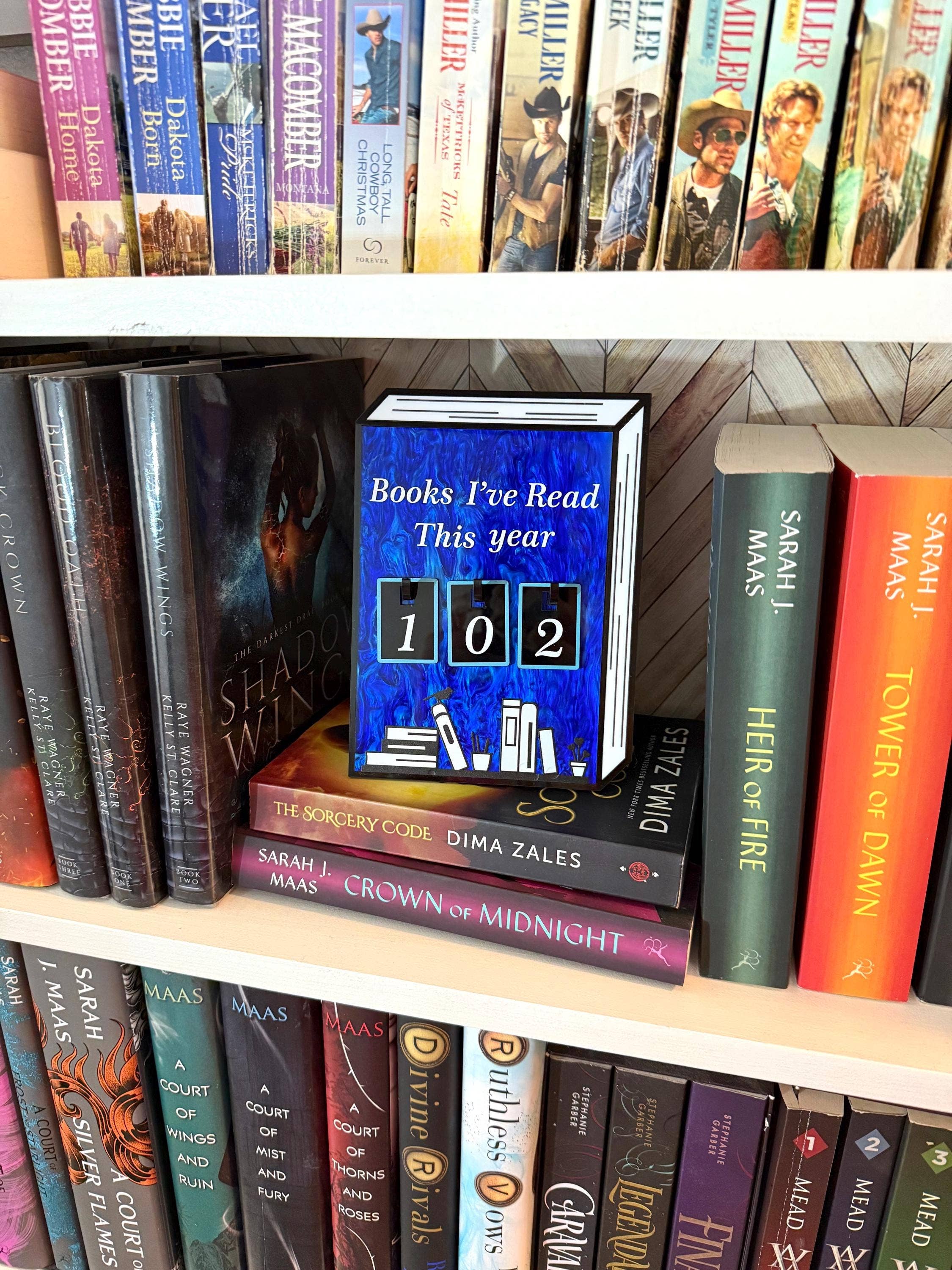 Briar layne - Wholesale Bookcase - Acrylic Yearly Book Counter for Bookshelf Decor 5