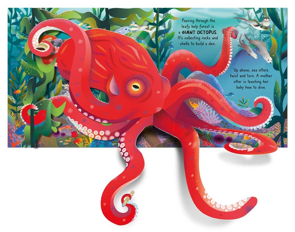 HarperCollins - Wholesale Baby & Toddler Book (0-2) - Pop-up Ocean : Usborne1