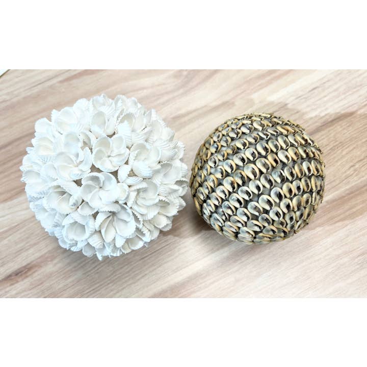 Bamboo Source Tropical Decor - Wholesale Decorative tabletop object - Seashell Ball Decoration - Assorted