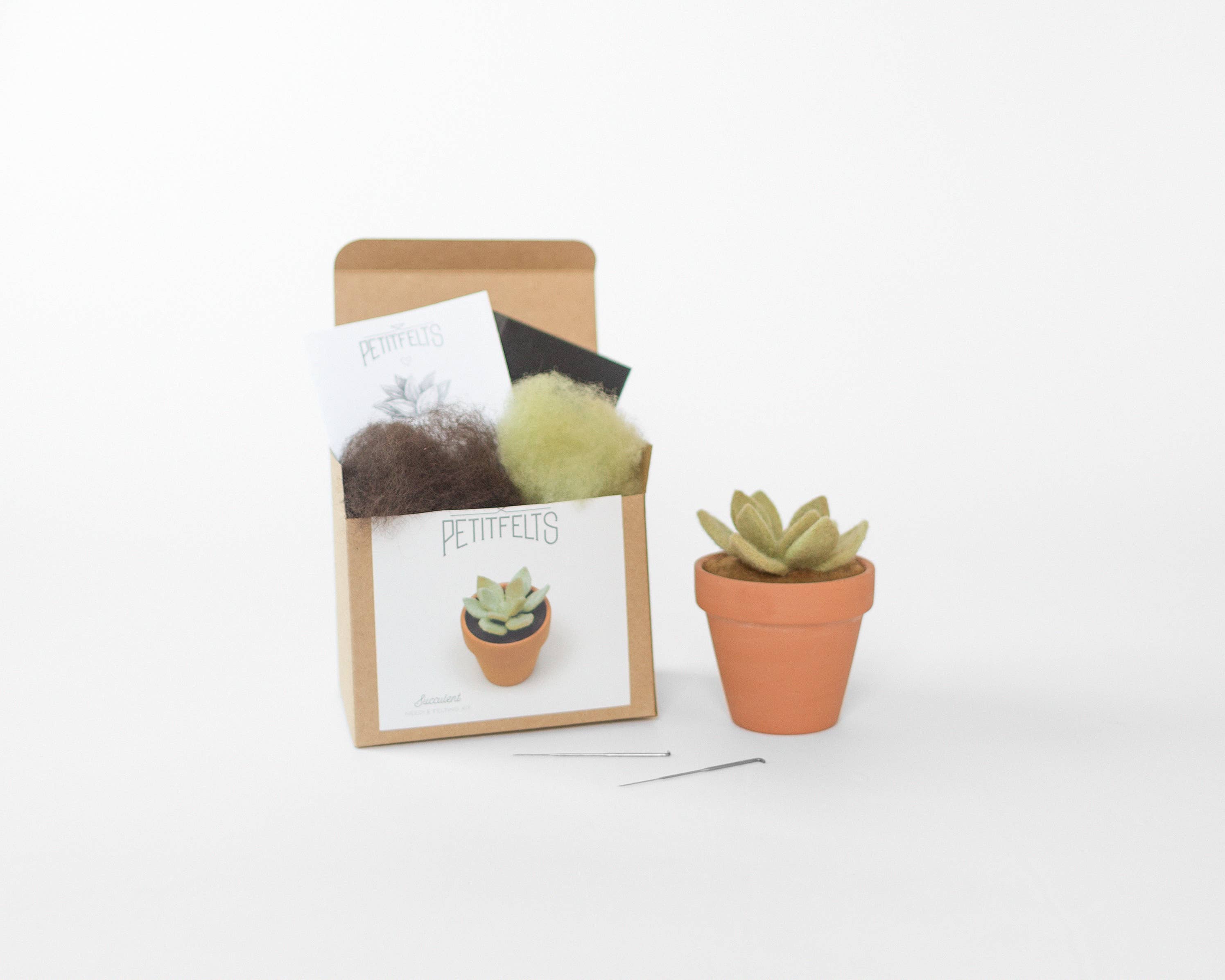 PetitFelts - Wholesale DIY Craft Kit - Needle Felting Kit - DIY - Succulent