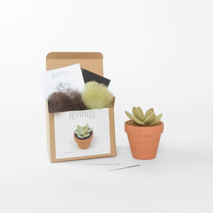 Needle Felting Kit - DIY - Succulent and other Purchase Wholesale felting kit. Free Returns & Net 60 Terms on Faire trending on Faire.