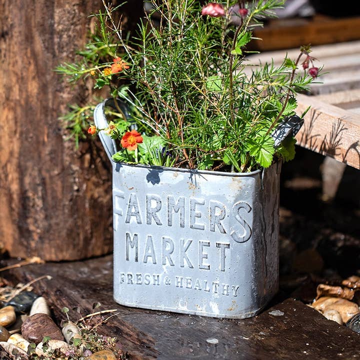Rustic Reach - Wholesale Plant Pot - Rectangular Flower Pot Gray Farmers Market