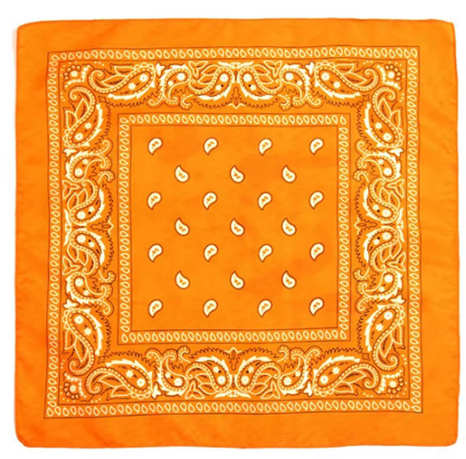 HoopLa - Wholesale Bandana - Women's - Bandana- 22" X 22"  100% Cotton Square Bandana Scarf4