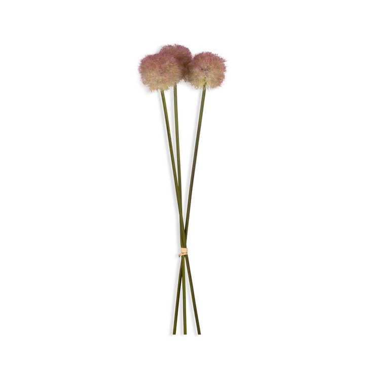 Abigail Ahern - Wholesale Artificial flowers - ARTIFICIAL ALLIUM, SUNSET3