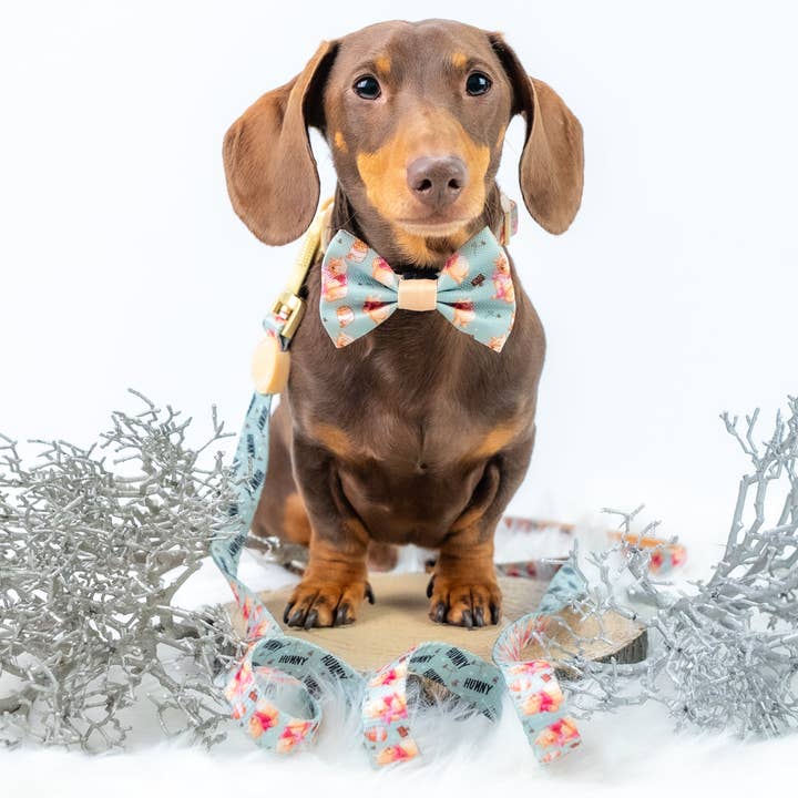 Pawsome Paws - Wholesale Pet Leash - Dog - Disney© Lead - Winnie the Pooh
